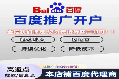 搜索开户返点揭秘：成功案例教你赚钱